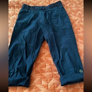 dip blue cropped pull up pants